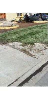 Excellence Landscaping And Maintenance