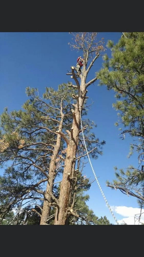 Top-rated residential landscaping experts serving Denver, CO - Excellence Landscaping