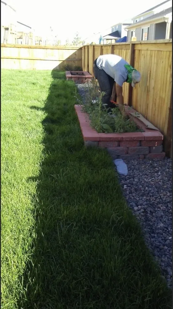 Local landscape installation experts serving Denver, CO - Excellence Landscaping