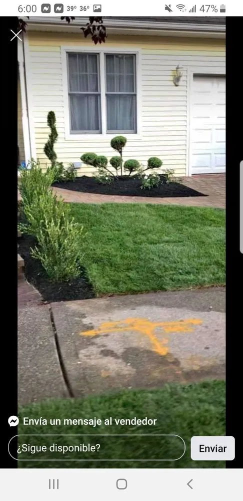 Professional outdoor landscaping in Newark, NJ - Excellent Landscaping