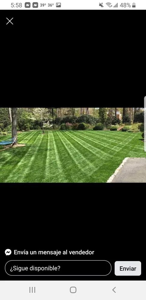 Local outdoor landscaping for beautiful yards in Newark, NJ by Excellent Landscaping