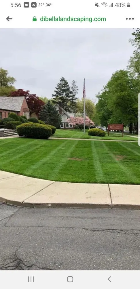 Expert yard cleanup service in Newark, NJ by Excellent Landscaping