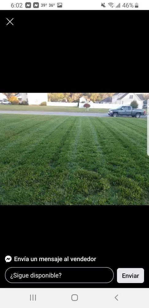 Affordable landscape design for outdoor upgrades across Newark, NJ - Excellent Landscaping