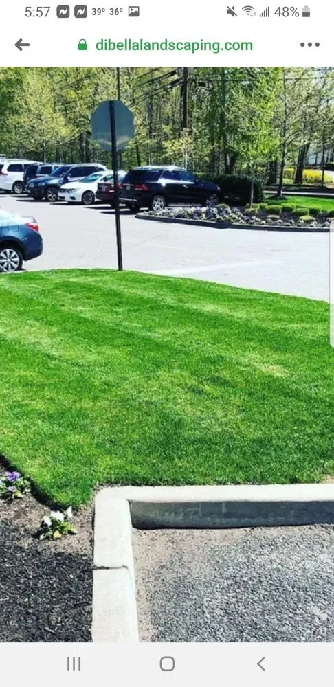 Reliable landscape installation with custom design across Newark, NJ - Excellent Landscaping