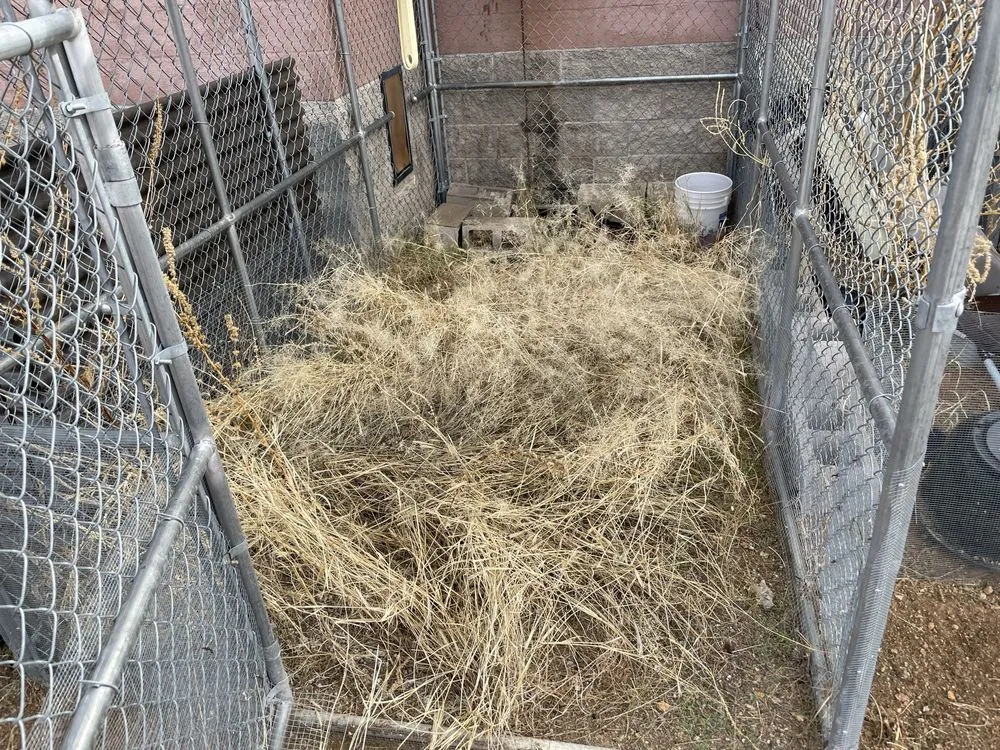 Expert yard maintenance in Tucson, AZ - Excellent Landscaping