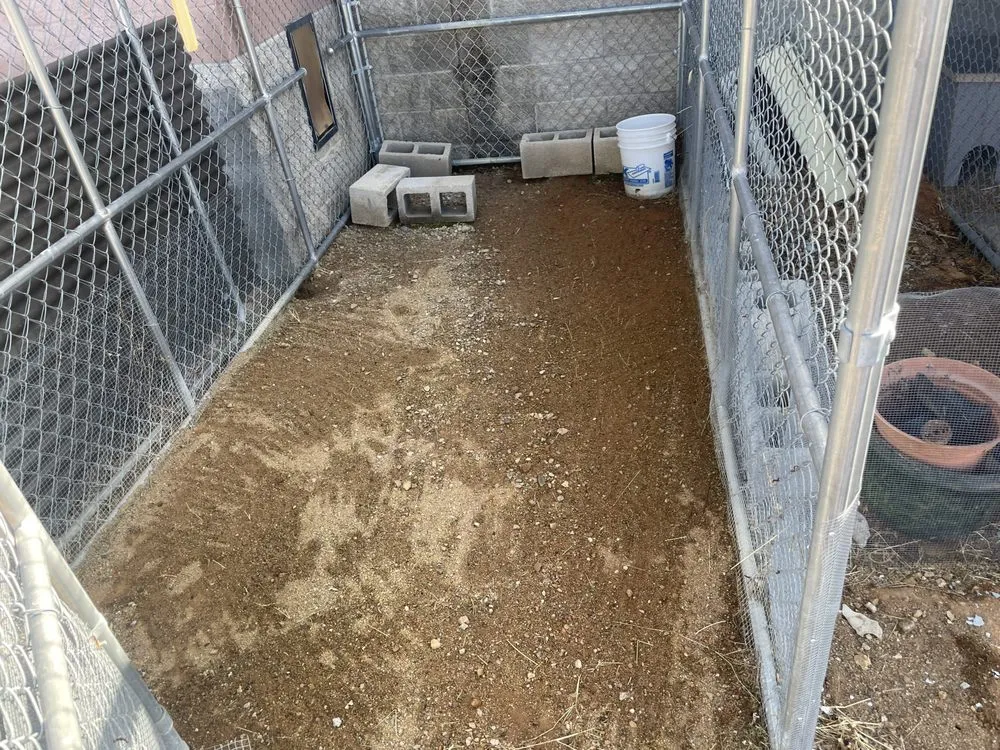 Professional lawn mowing service in Tucson, AZ by Excellent Landscaping