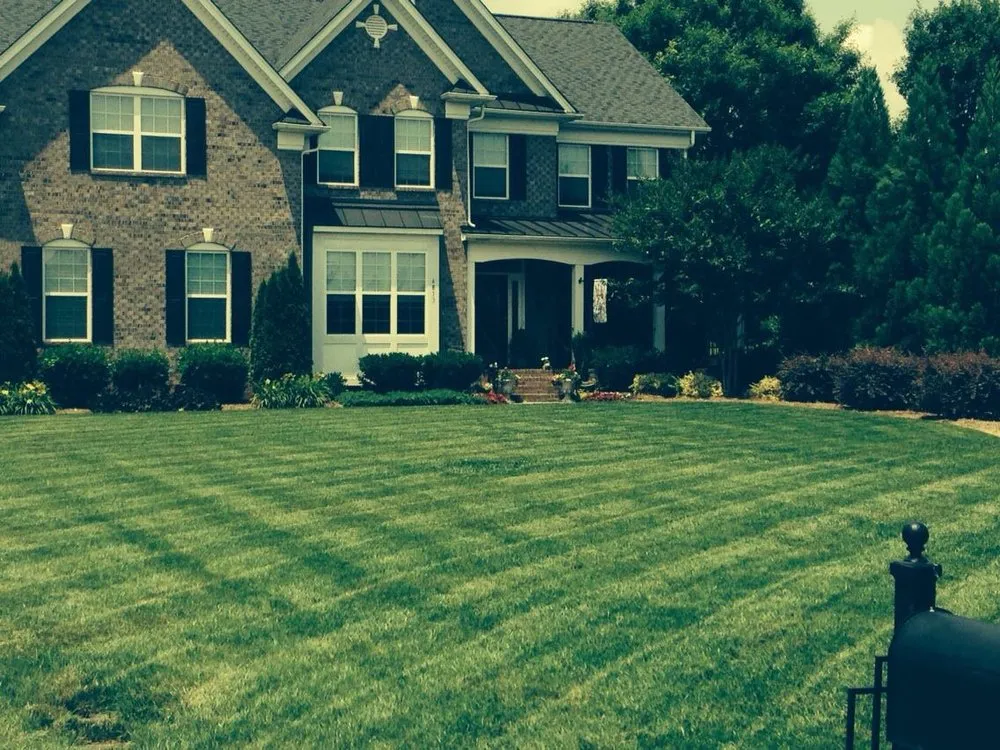 Professional yard cleanup service in Ochlocknee, GA by Excellent Lawn and Pool Service