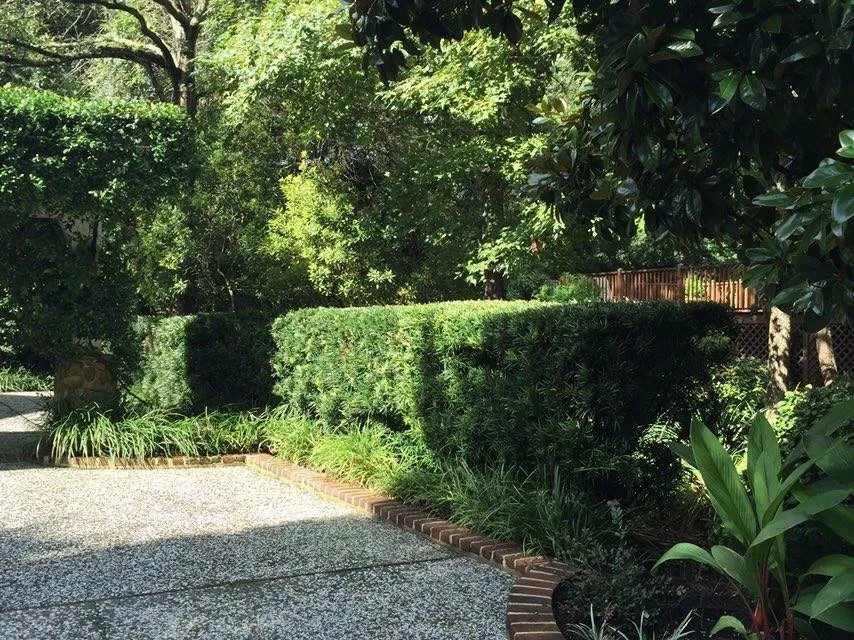 Local garden landscaping in Ochlocknee, GA by Excellent Lawn and Pool Service