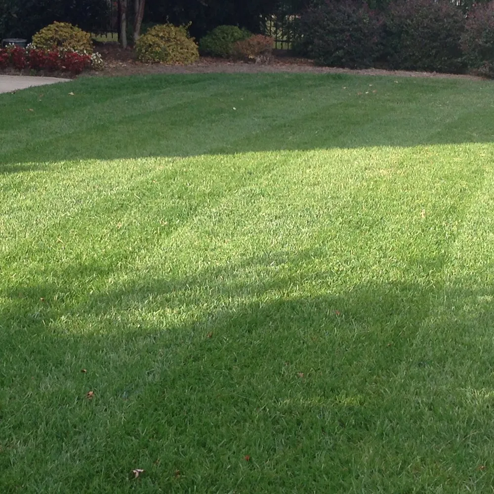 Reliable yard maintenance for year-round maintenance across Ochlocknee, GA - Excellent Lawn and Pool Service
