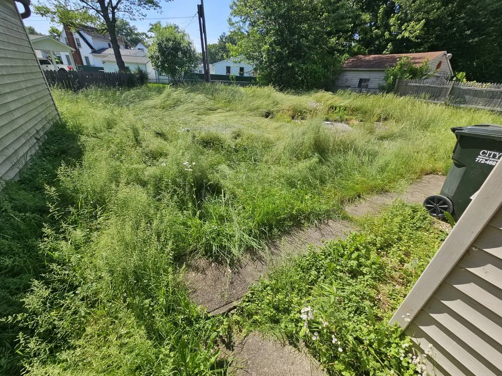 Reliable residential landscaping in Youngstown, OH - Excellent Trim