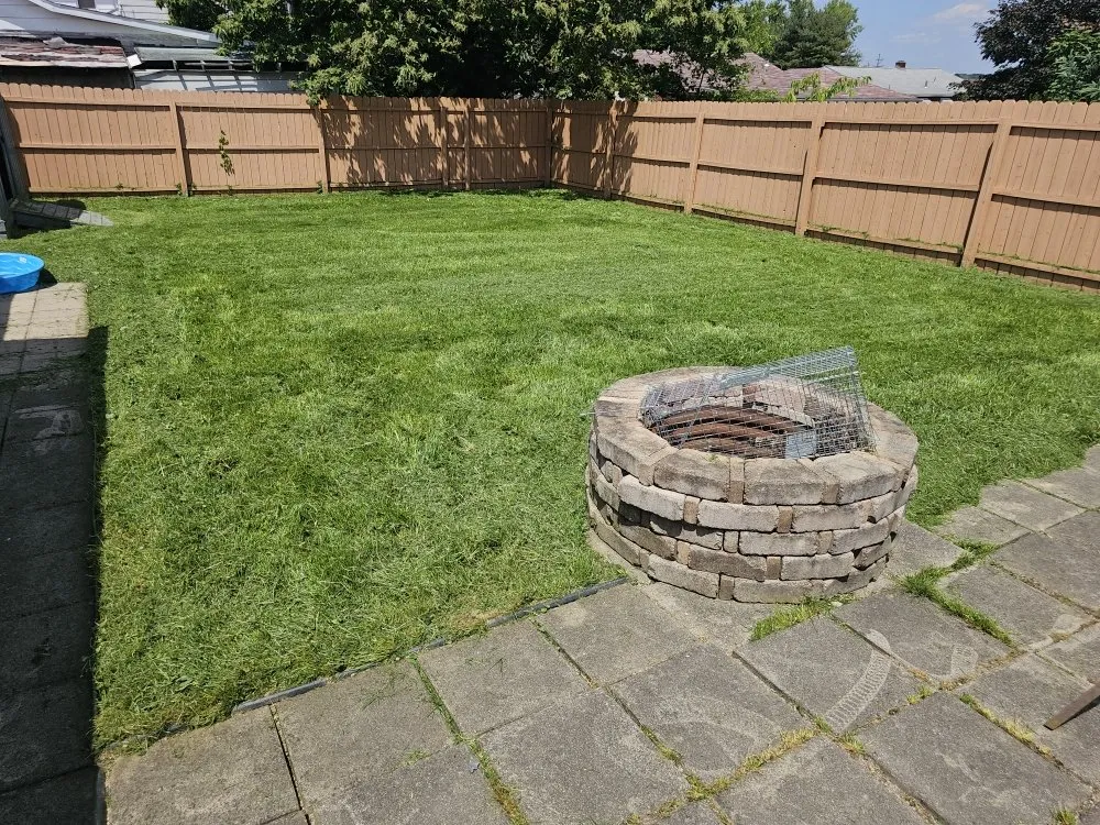 Affordable yard cleanup service in Youngstown, OH - Excellent Trim