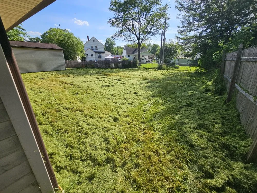 Custom yard cleanup service experts serving Youngstown, OH - Excellent Trim