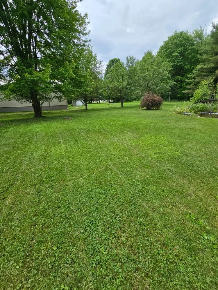 Local yard maintenance in Youngstown, OH - Excellent Trim
