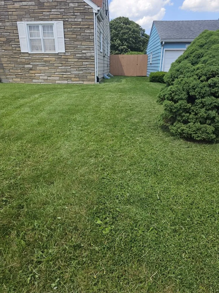 Affordable garden landscaping for outdoor upgrades in Youngstown, OH by Excellent Trim