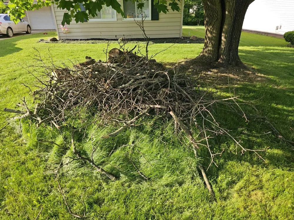 Trusted lawn care service for outdoor upgrades across Youngstown, OH - Excellent Trim