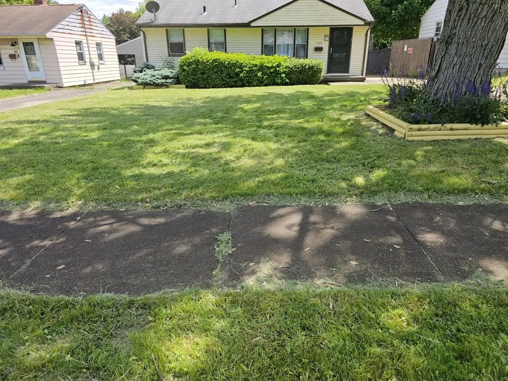 Reliable yard maintenance near you in Youngstown, OH by Excellent Trim