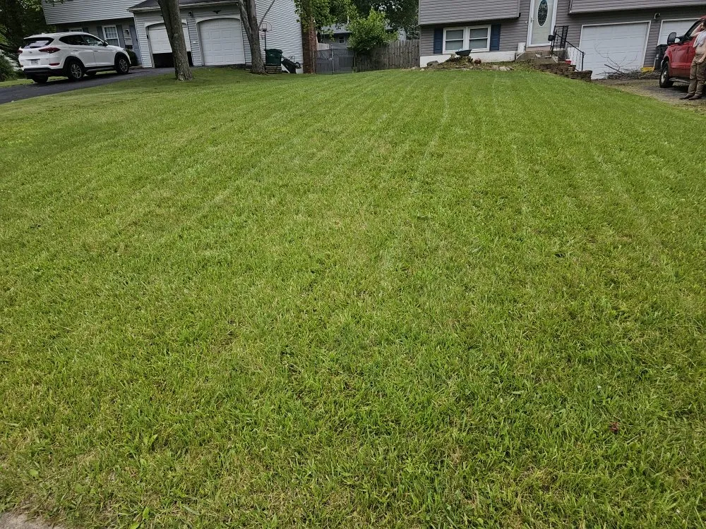 Top-rated lawn mowing service for residential properties in Youngstown, OH by Excellent Trim