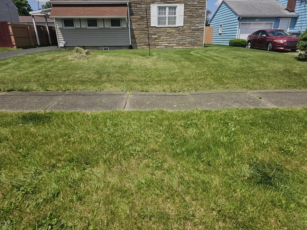 Trusted outdoor landscaping in Youngstown, OH - Excellent Trim