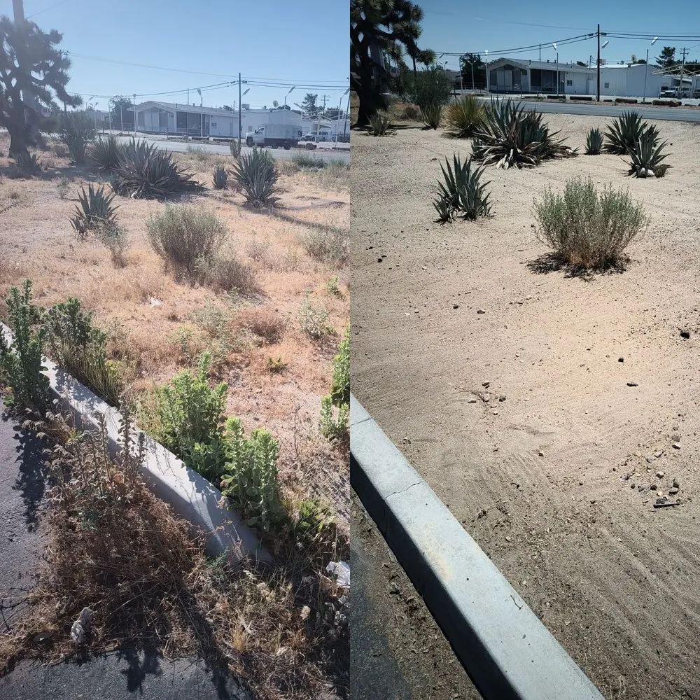 Local residential landscaping for outdoor upgrades across Twentynine Palms, CA - Excellent Work Yard Service