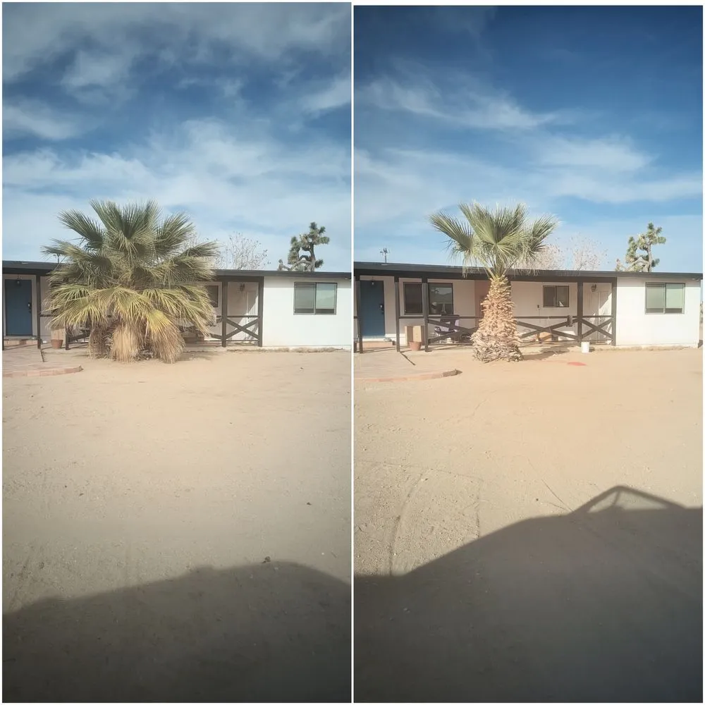 Expert yard maintenance in Twentynine Palms, CA by Excellent Work Yard Service