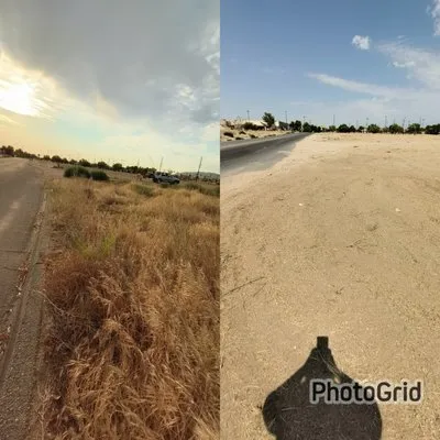 Excellent Work Yard Service Logo