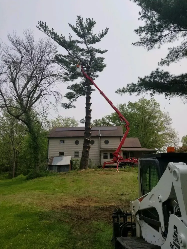 Affordable yard maintenance in Sigourney, IA - Exceptional Edge