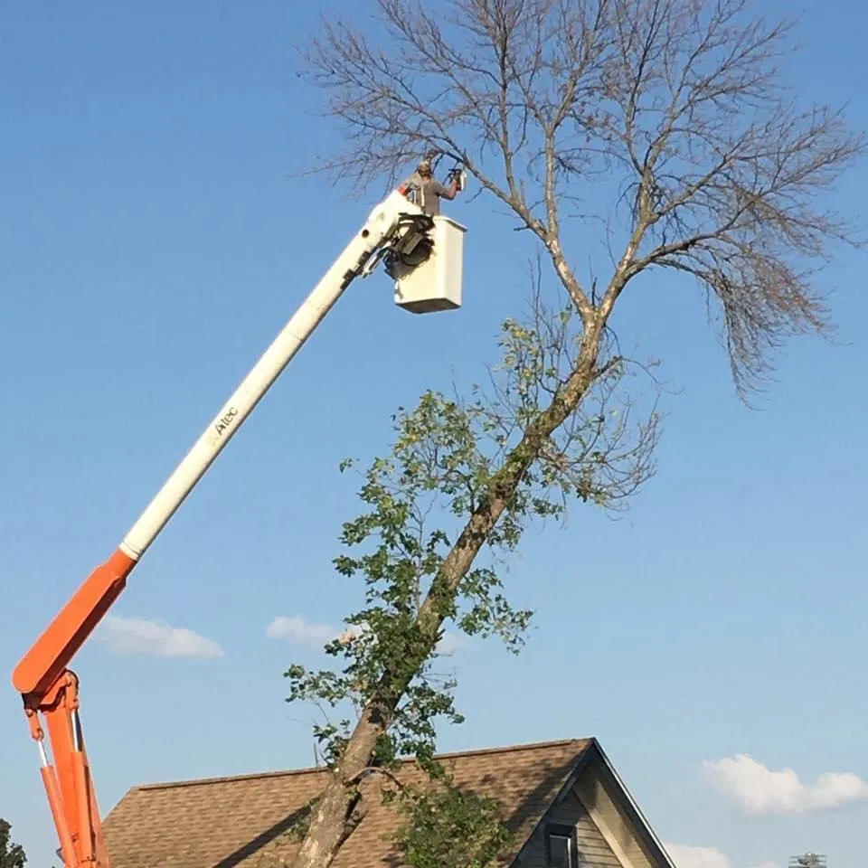 Custom outdoor landscaping in Sigourney, IA by Exceptional Edge