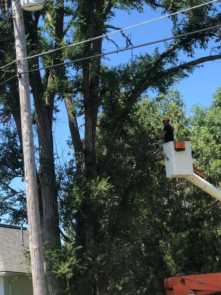 Professional residential landscaping for beautiful yards across Sigourney, IA - Exceptional Edge