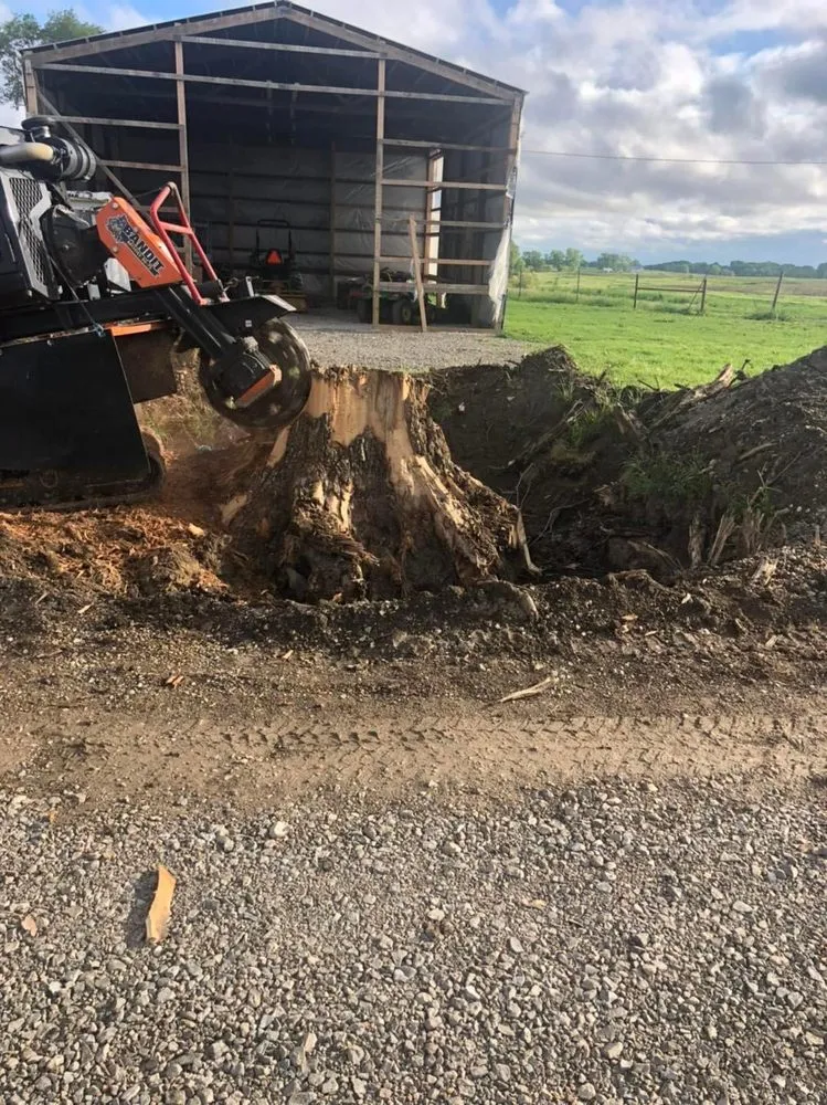 Affordable residential landscaping for outdoor upgrades in Sigourney, IA by Exceptional Edge