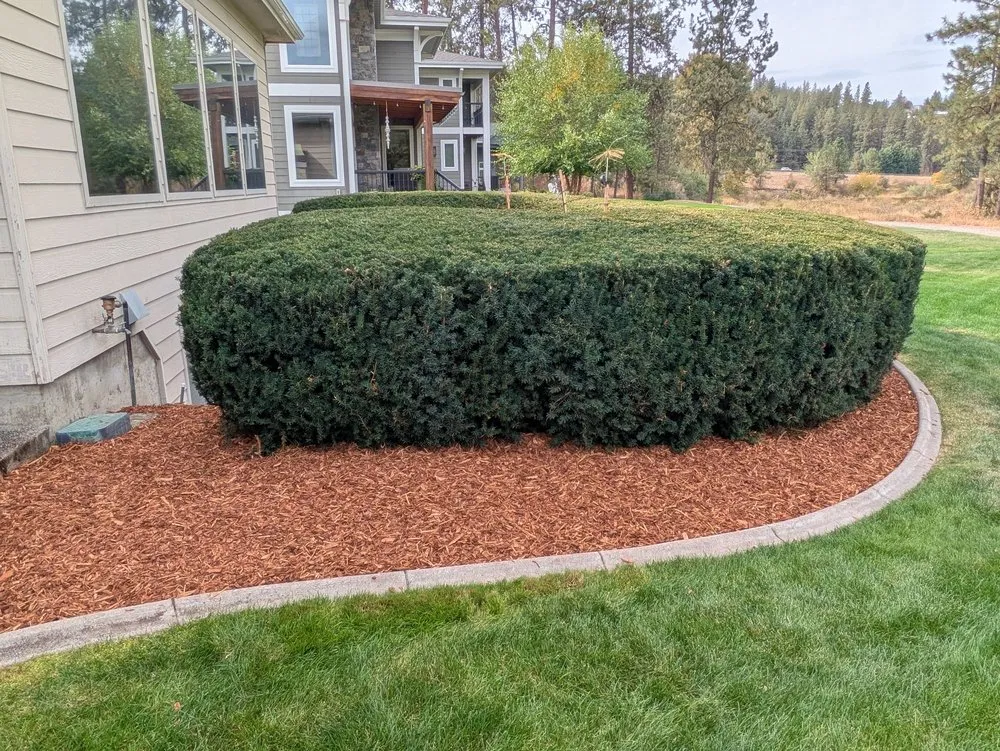 Professional yard cleanup service with custom design across Spokane, WA - Exceptional Landscaping