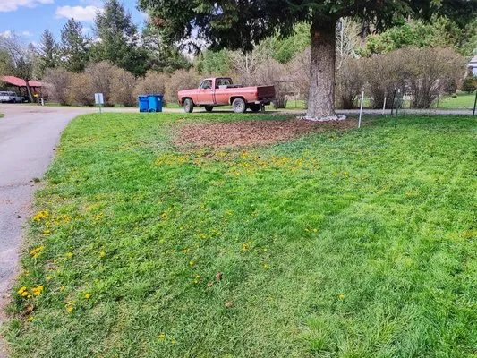 Exceptional Lawn Maintenance Logo