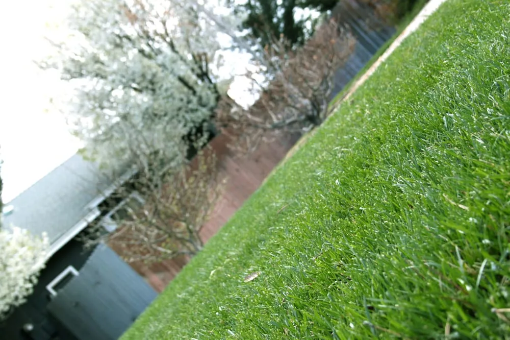 Expert landscaping services in Sparks, NV by Exceptional Lawn