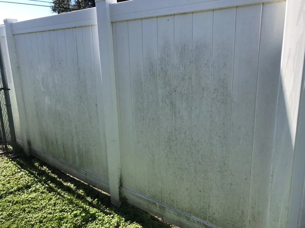 Trusted yard cleanup service with custom design in Seminole, FL by Exceptional Pressure Cleaning And Property Maintenance