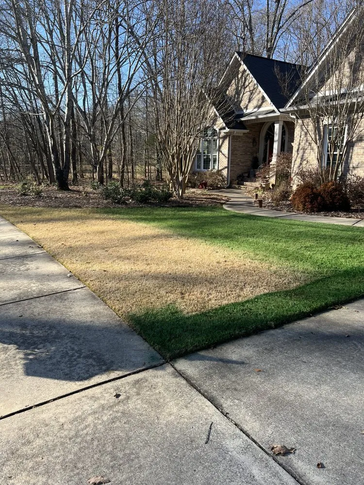 Professional landscape installation for year-round maintenance across Madison, AL - Exceptional Turf Services
