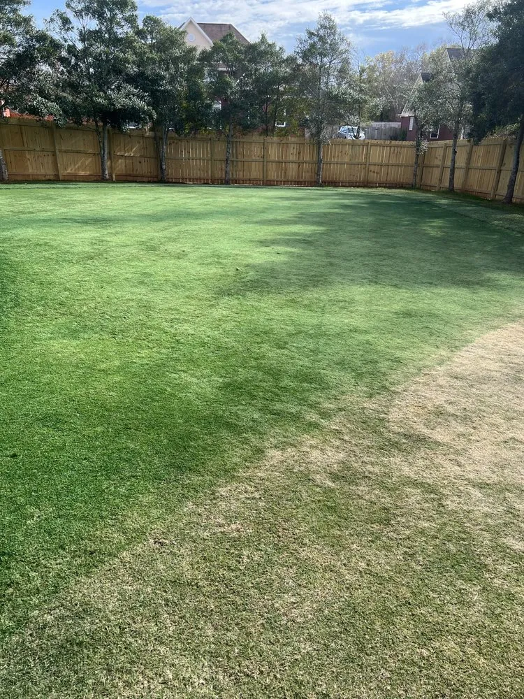 Local garden landscaping in Madison, AL by Exceptional Turf Services