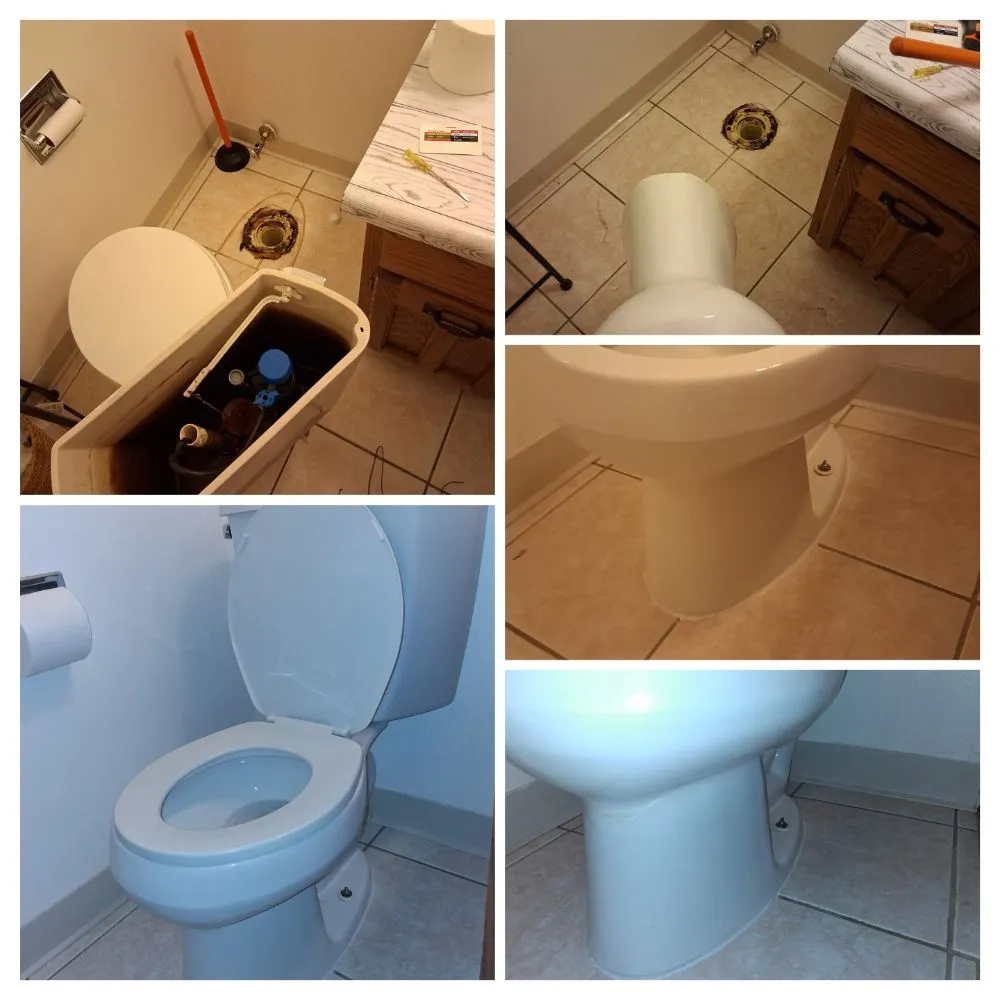 Local yard maintenance near you in Denver, CO by Exceptionally Rich Services