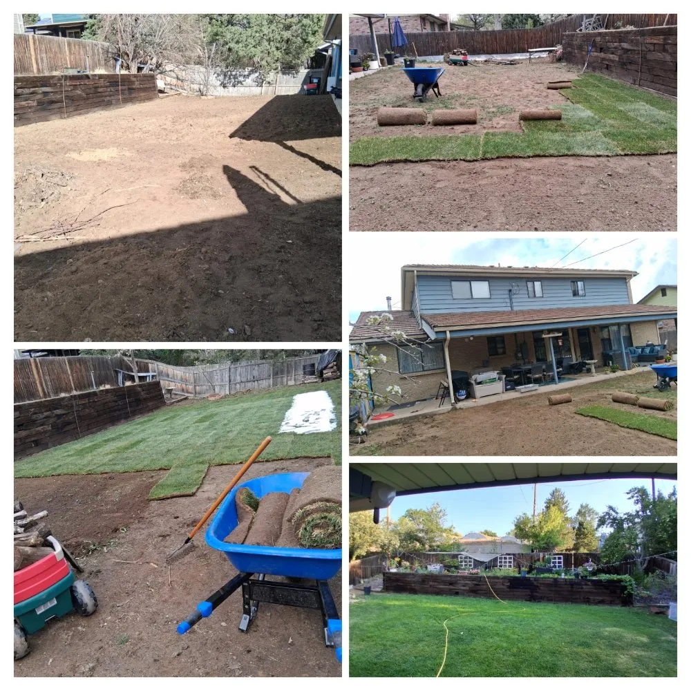 Reliable landscape design with custom design across Denver, CO - Exceptionally Rich Services