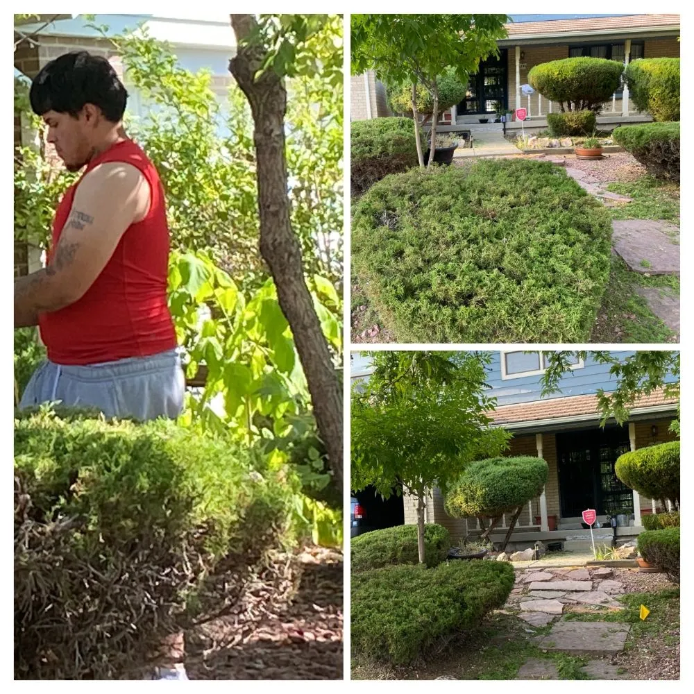 Professional landscaping services in Denver, CO by Exceptionally Rich Services