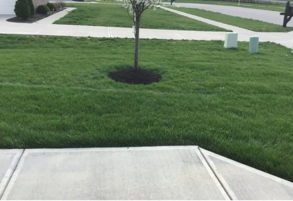 Trusted outdoor landscaping in Indianapolis, IN - Exclusive Cuts by Lionel
