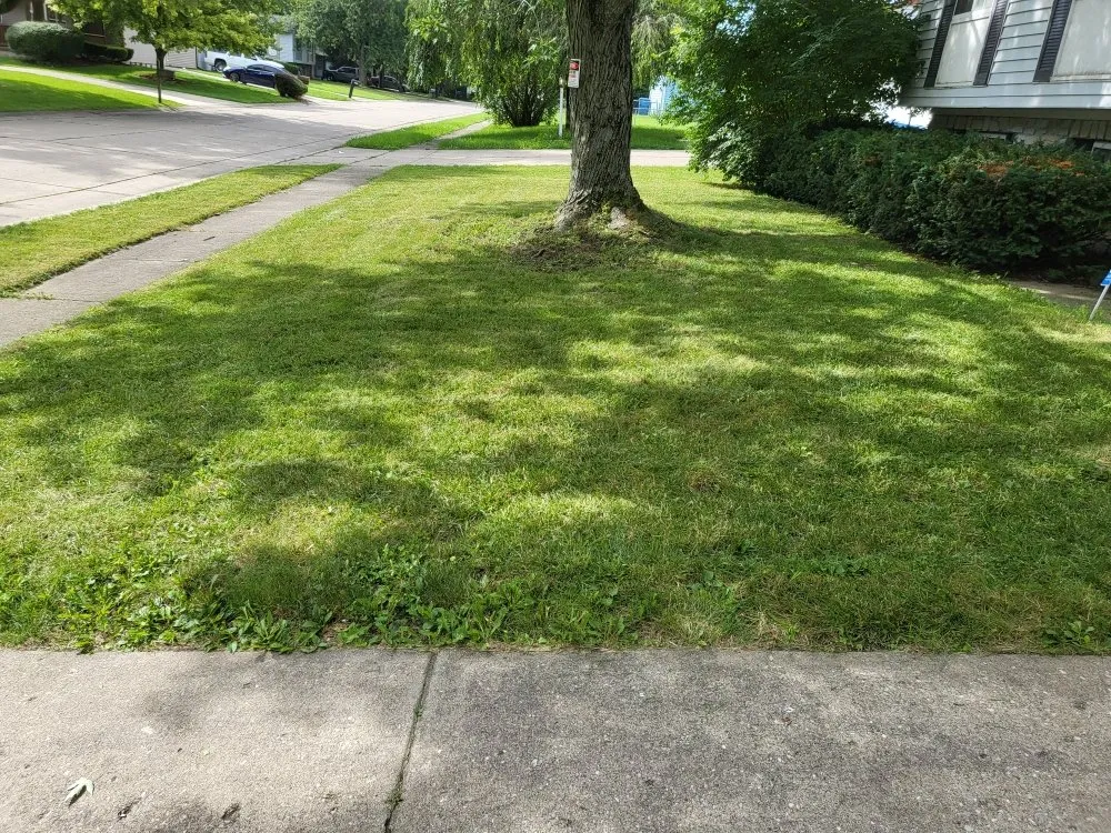 Expert landscape installation experts serving Indianapolis, IN - Exclusive Cuts by Lionel