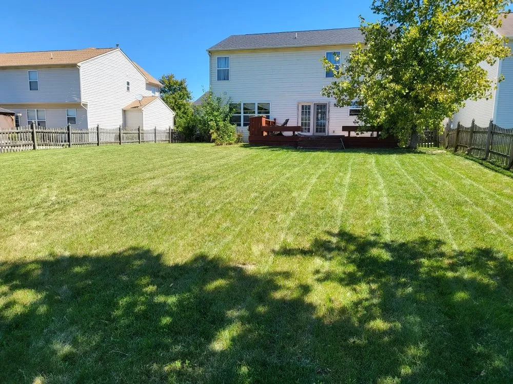 Affordable landscaping services for homes in Indianapolis, IN by Exclusive Cuts by Lionel