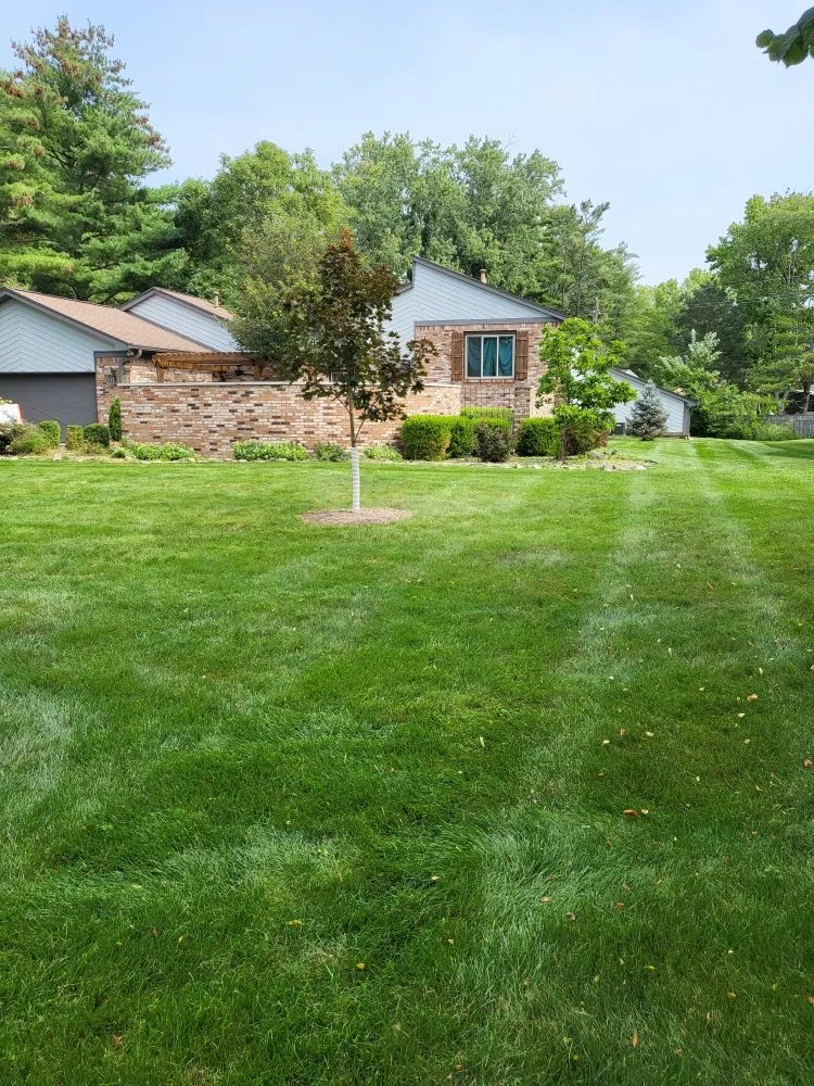 Affordable lawn mowing service in Indianapolis, IN by Exclusive Cuts by Lionel