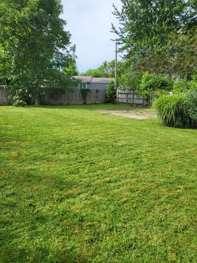 Reliable landscape installation for homes across Indianapolis, IN - Exclusive Cuts by Lionel