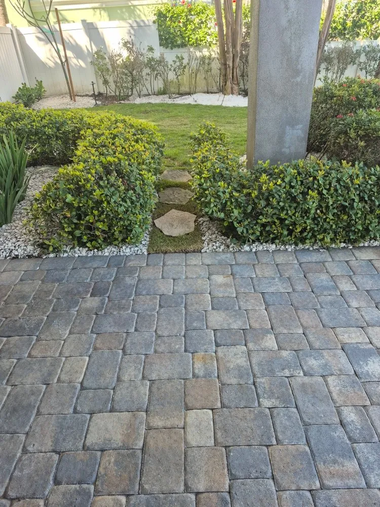 Trusted landscape design for beautiful yards across Clearwater, FL - Exclusive Estate and Landscapes