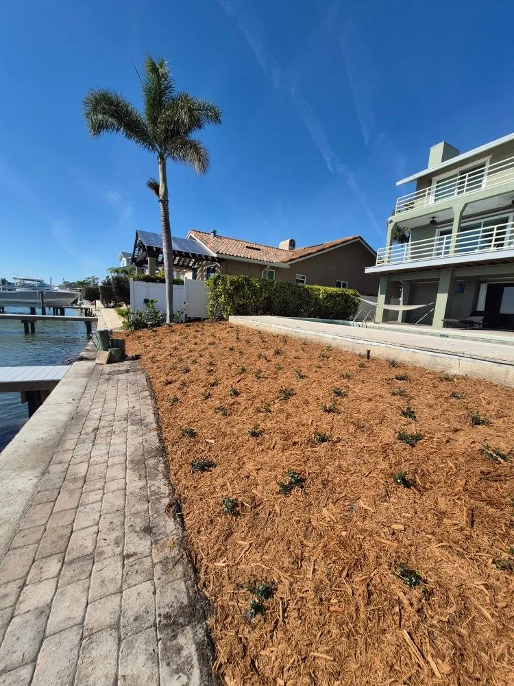 Local yard cleanup service for outdoor upgrades in Clearwater, FL by Exclusive Estate and Landscapes