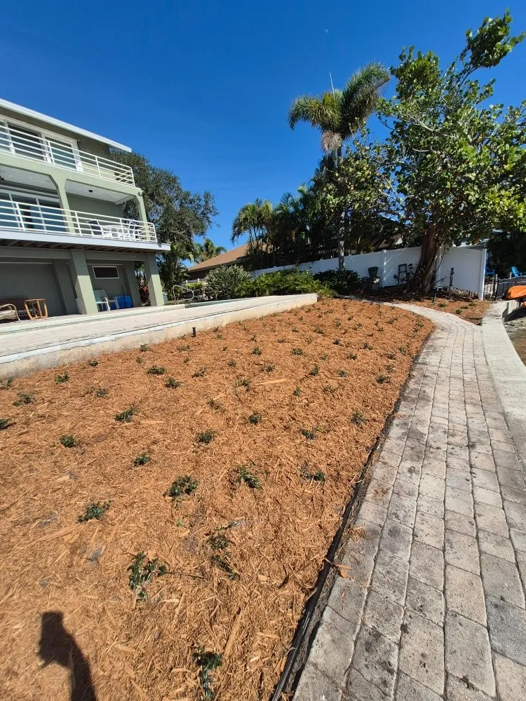 Custom yard cleanup service experts serving Clearwater, FL - Exclusive Estate and Landscapes