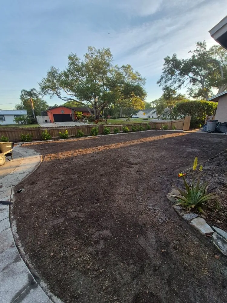 Local residential landscaping in Clearwater, FL - Exclusive Estate and Landscapes