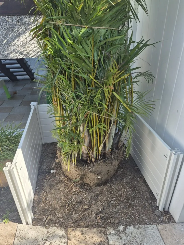 Local lawn care service experts serving Clearwater, FL - Exclusive Estate and Landscapes