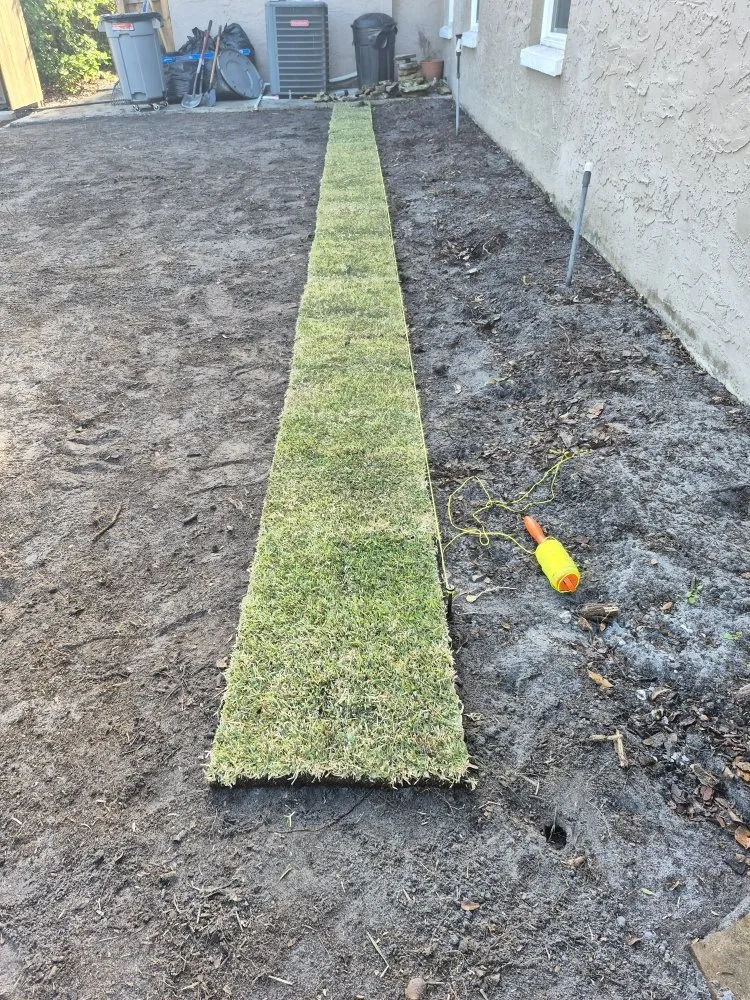 Expert lawn care service for year-round maintenance across Clearwater, FL - Exclusive Estate and Landscapes