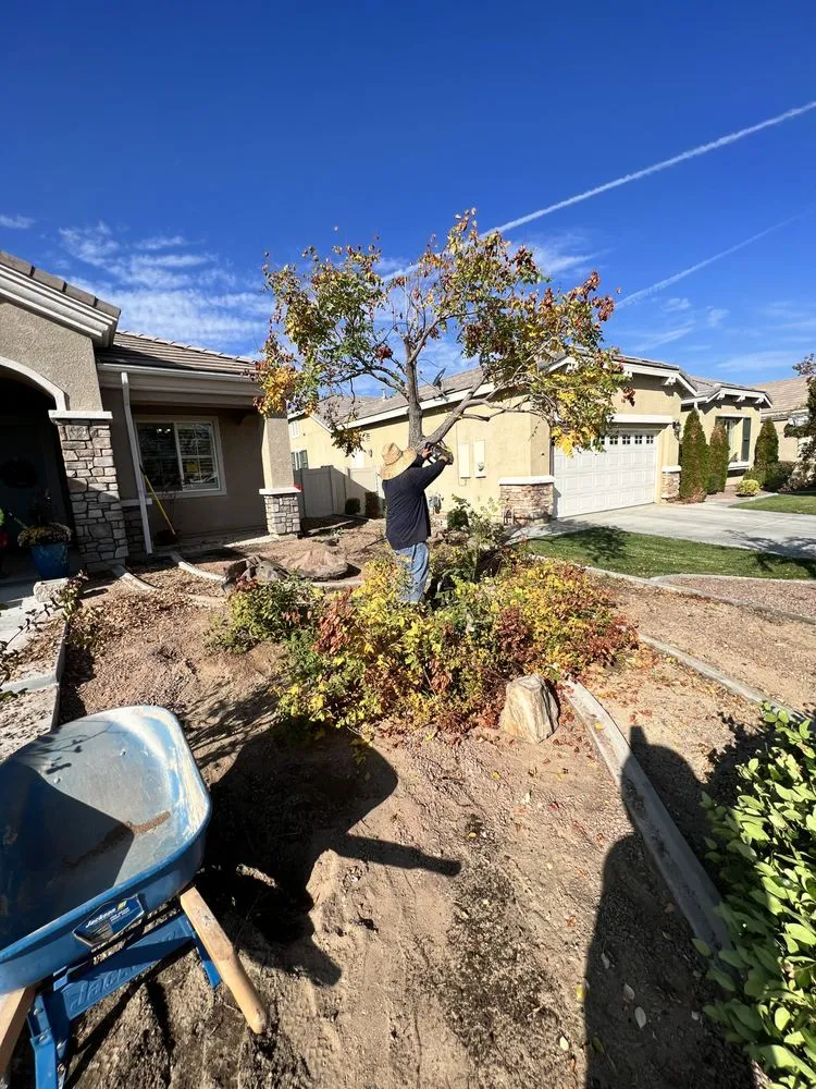 Reliable lawn care service near you across Fontana, CA - Exclusive Hardscape & Exterior Design